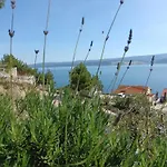Relax * Čelina