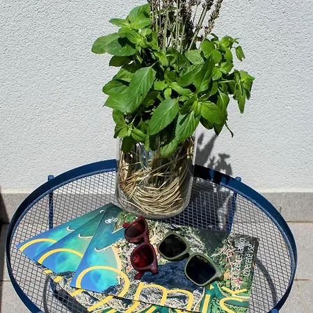 Apartmán Relax
